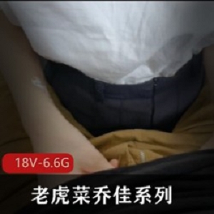 乔佳系列：活力十足的新同事，5部视频合集，总计6.6G内容